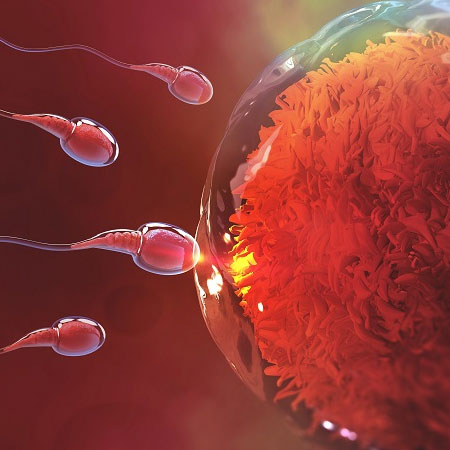 Infertility Treatment in Kanhangad