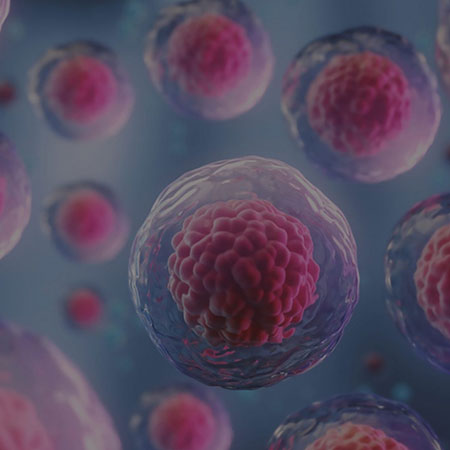 Oocyte Embryo Donation in Kanhangad